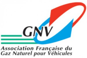 GNV & transition nergtique  LAFGNV appelle au dveloppement de la filire