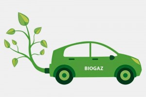 Le biométhane, favori pour décarboniser les transports
