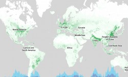 L'AIE affine sa cartographie mondiale du potentiel du biogaz et du biométhane