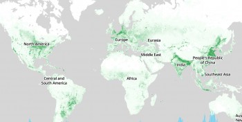 L'AIE affine sa cartographie mondiale du potentiel du biogaz et du biom&eacute;thane