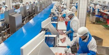 Elivia va valoriser en biom&eacute;thane les d&eacute;chets de son abattoir du Lion-d'Angers