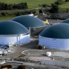 Biom&eacute;thane : l'Irlande assouplit ses r&egrave;gles de raccordement au r&eacute;seau gazier