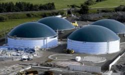 Biométhane : l'Irlande assouplit ses règles de raccordement au réseau gazier
