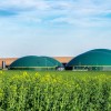 11 projets retenus, 63 candidats... En Tch&eacute;quie, les premi&egrave;res ench&egrave;res du biom&eacute;thane font un carton