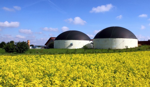  Biom&eacute;thane inject&eacute; : 3,6 TWh au T1 2026, mais les mises en service continuent de reculer