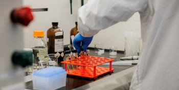 Au Qu&eacute;bec, ces plantes envahissantes deviennent une ressource pour la m&eacute;thanisation