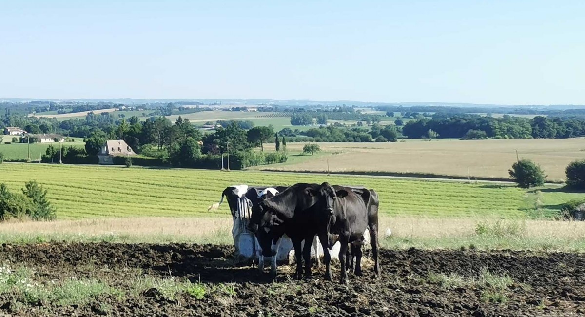 Avec cette aide de 15 000 &euro;, le Lot-et-Garonne veut acc&eacute;l&eacute;rer la m&eacute;thanisation agricole