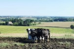 Avec cette aide de 15 000 &euro;, le Lot-et-Garonne veut acc&eacute;l&eacute;rer la m&eacute;thanisation agricole
