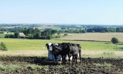 Avec cette aide de 15 000 &euro;, le Lot-et-Garonne veut acc&eacute;l&eacute;rer la m&eacute;thanisation agricole