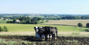 Avec cette aide de 15 000 &euro;, le Lot-et-Garonne veut acc&eacute;l&eacute;rer la m&eacute;thanisation agricole