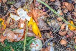 En Bretagne, ce projet veut transformer les d&eacute;chets alimentaires en biom&eacute;thane