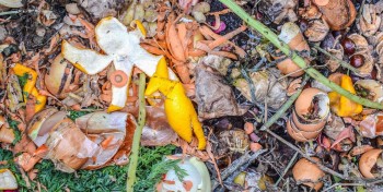 En Bretagne, ce projet veut transformer les d&eacute;chets alimentaires en biom&eacute;thane