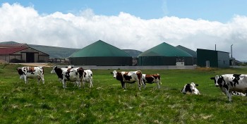 Méthanisation : quel impact sur la qualité de l'air et les odeurs ?