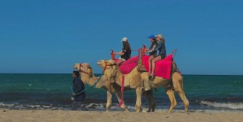 A Djerba, les déchets des hôtels vont produire du biométhane