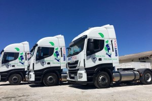 Bert&You veut renouveler 50 % de ses camions au gaz naturel