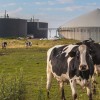 Pour l'AIE, le potentiel mondial du biogaz reste largement inexploité