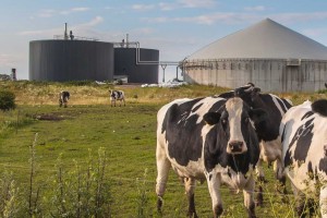 Pour l'AIE, le potentiel mondial du biogaz reste largement inexploité