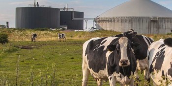 Pour l'AIE, le potentiel mondial du biogaz reste largement inexploit&eacute;