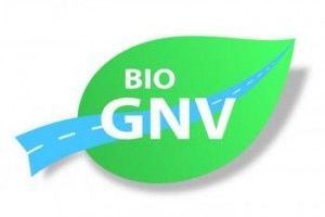 BioGNV – Les professionnels r�clament un soutien politique � la fili�re