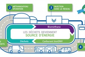 Le bioGNV dans le panorama du gaz renouvelable