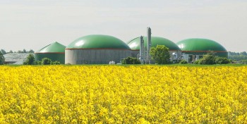 Etats-Unis : TotalEnergies et Clean Energy lancent la construction de leur première unité biogaz