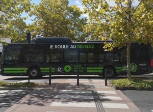 Le Grand Dax reçoit ses nouveaux bus au biogaz