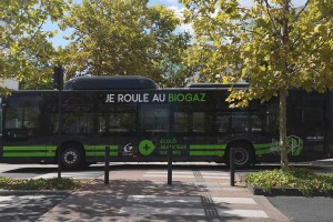 Bus et autocars : le GNV en tête des immatriculations en 2023 !