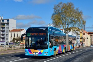 Règlement CO2 des bus : l'AMF tire la sonnette d'alarme