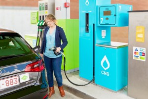 Carburants alternatifs : l'Europe dénonce le manque d'ambition des plans d'actions nationaux