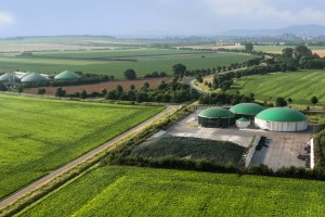 Forum EcoGreen Gas : les énergies vertes recrutent