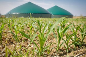 Le biométhane en France en 2020 : Evolution et impact du Covid-19