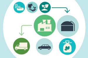 Collectivités : Un guide pour se lancer dans la production de bioGNV