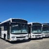 Bus GNV : Iveco renforce sa présence en Argentine