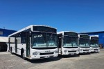 Bus GNV : Iveco renforce sa présence en Argentine