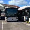 Les premiers bus au biogaz arrivent au Havre