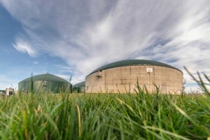 Quand un jeune agriculteur s'investit à fond dans le biogaz