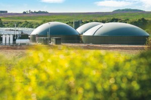 Méthanisation : un nouvel appel à projets en région Grand-Est