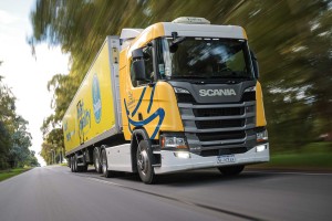 En Argentine, Golden Fruit adopte des camions GNC Scania pour ses livraisons