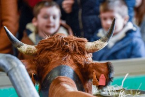Le biométhane et le bioGNV s'invitent au Salon de l'Agriculture