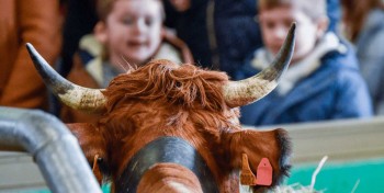 Le biom&eacute;thane et le bioGNV s'invitent au Salon de l'Agriculture