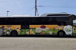 Sovetours re&ccedil;oit la premi&egrave;re mention &laquo; Transporteur engag&eacute; gaz vert &raquo; des Pays de la Loire