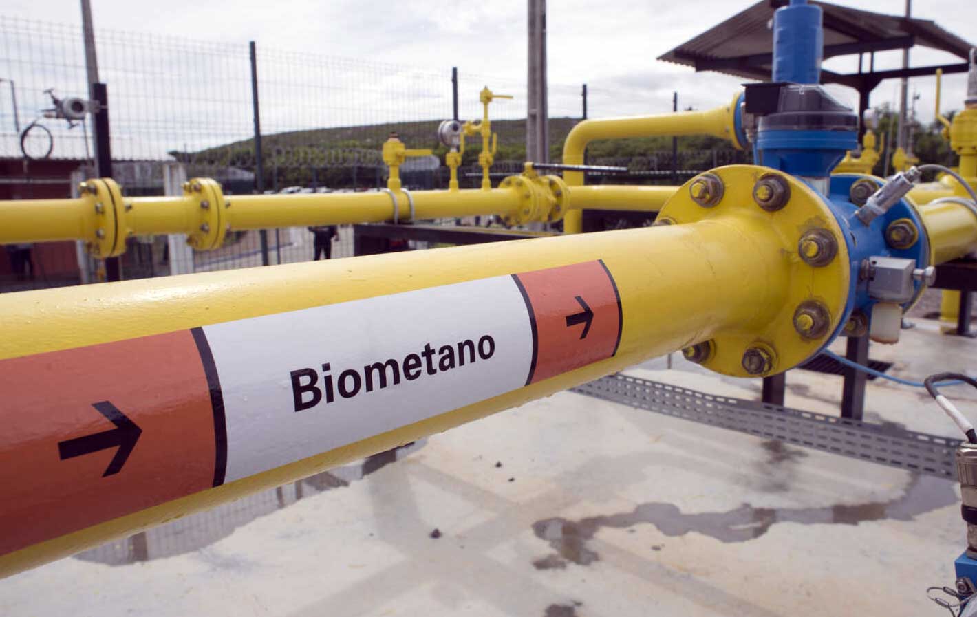 L'Espagne fixe un cap in&eacute;dit pour le biom&eacute;thane