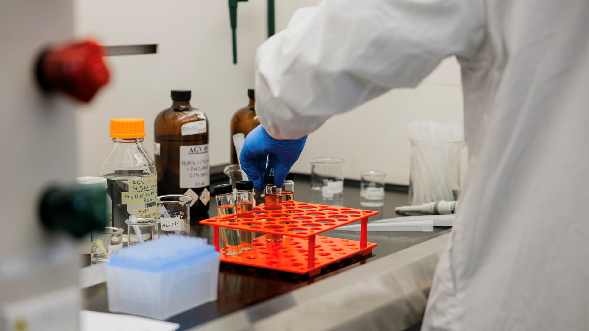 Au Qu&eacute;bec, ces plantes envahissantes deviennent une ressource pour la m&eacute;thanisation