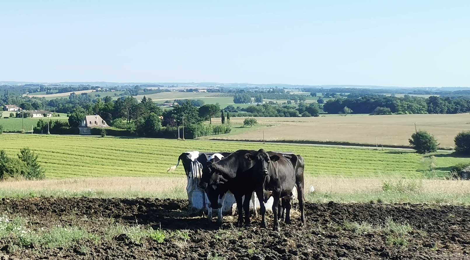 Avec cette aide de 15 000 &euro;, le Lot-et-Garonne veut acc&eacute;l&eacute;rer la m&eacute;thanisation agricole