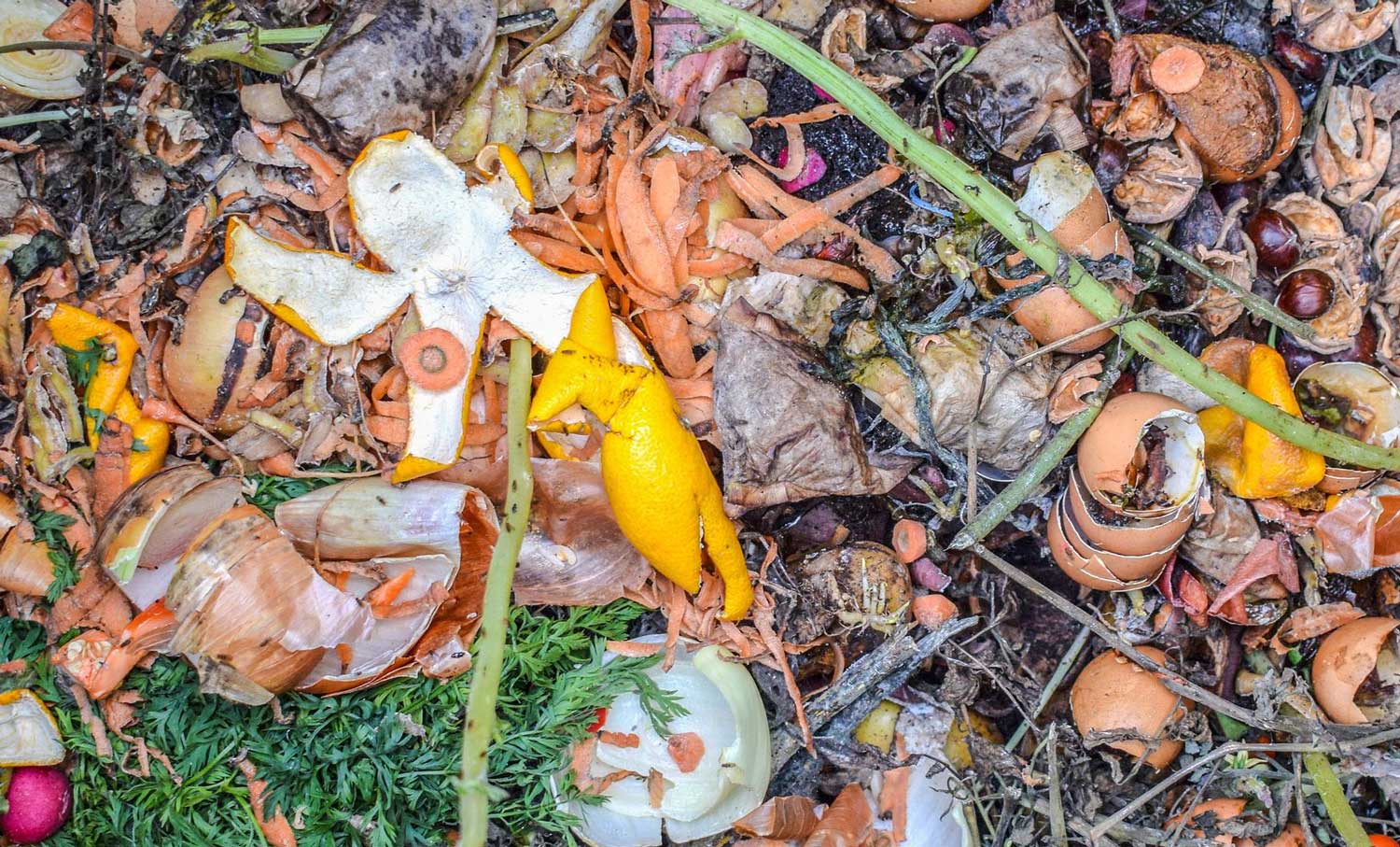 En Bretagne, ce projet veut transformer les d&eacute;chets alimentaires en biom&eacute;thane