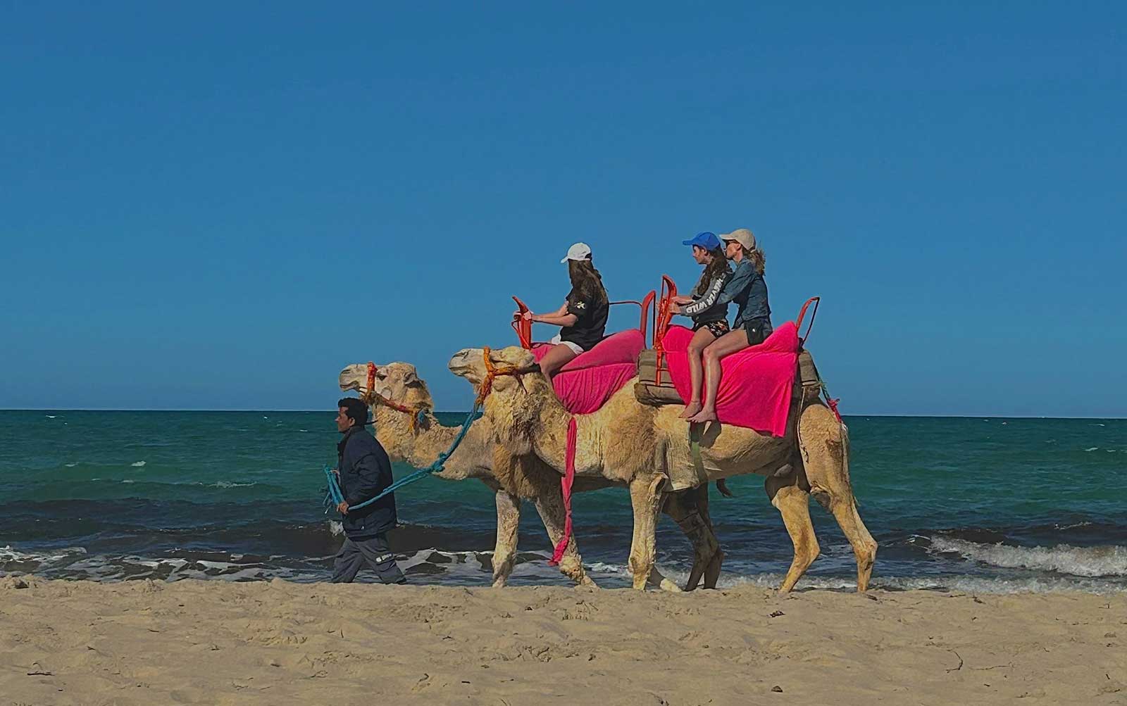 A Djerba, les déchets des hôtels vont produire du biométhane