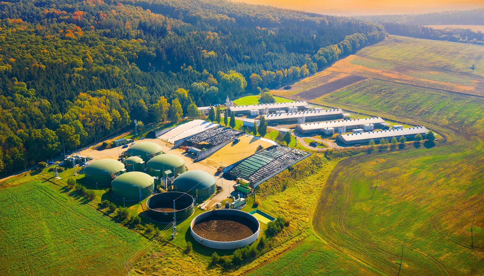 Biom&eacute;thane en Europe : 7 chiffres cl&eacute;s pour comprendre la dynamique du secteur en 2025