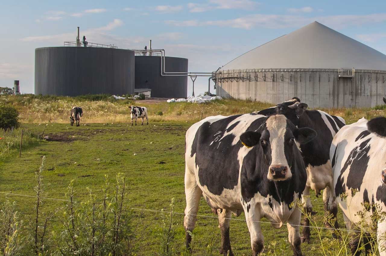 Pour l'AIE, le potentiel mondial du biogaz reste largement inexploité