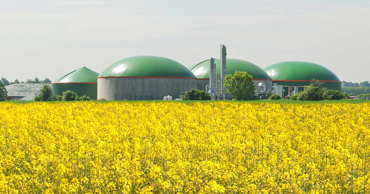 Etats-Unis : TotalEnergies et Clean Energy lancent la construction de leur première unité biogaz