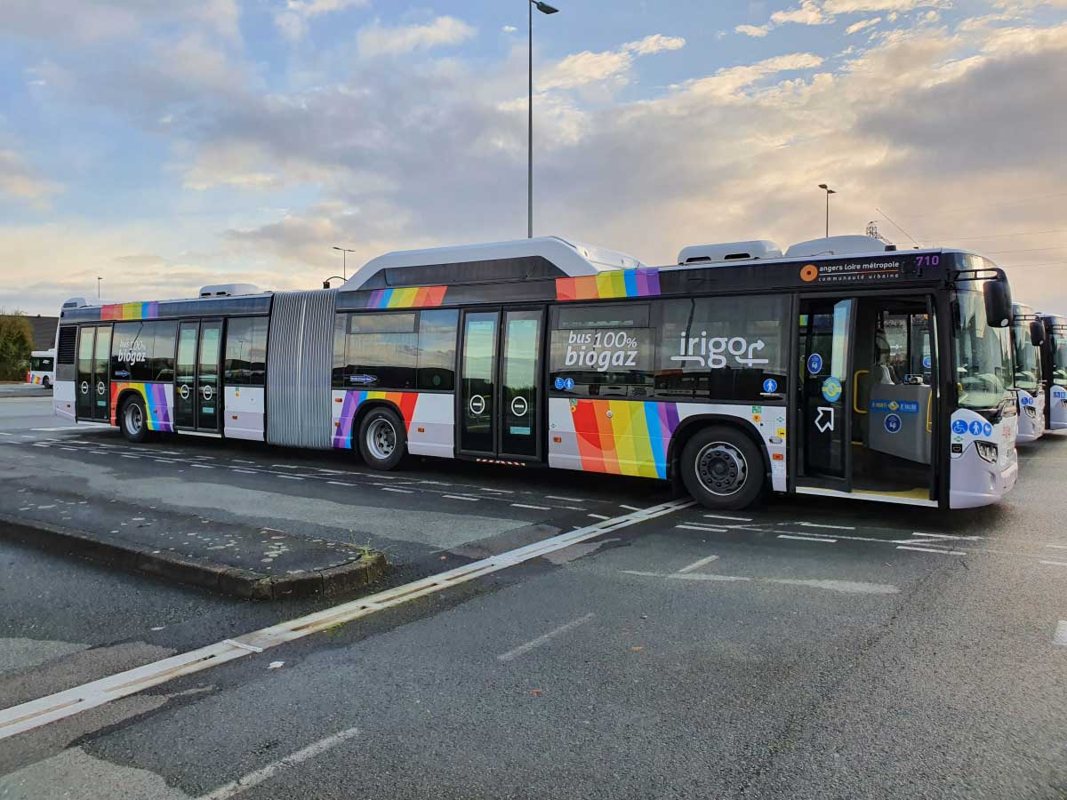 Bus GNV : Angers Loire Métropole va renforcer sa flotte